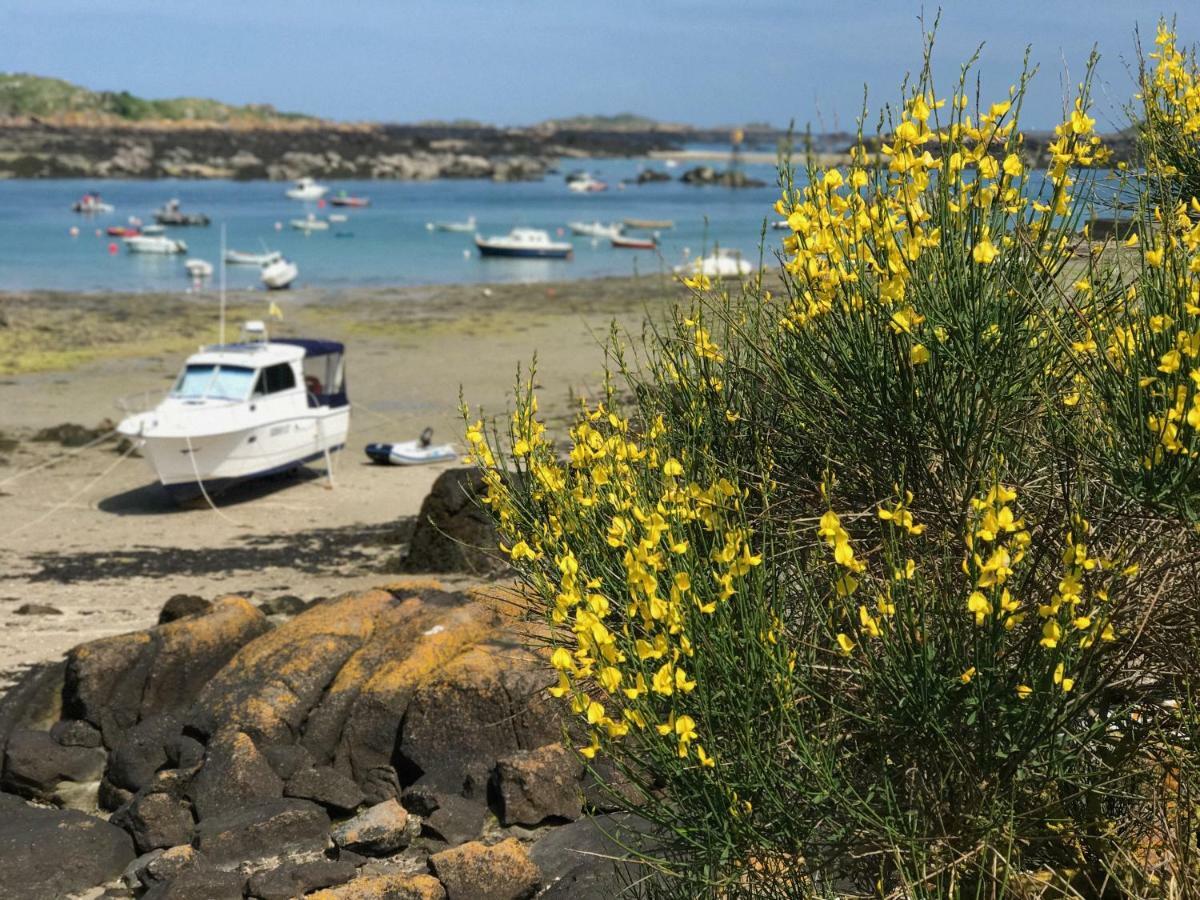 Le Cottage De La Baie Carolles Eksteriør billede